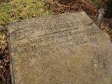 image of grave number 432853